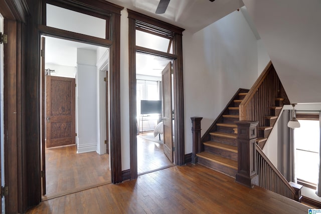 foyer entrance featuring dark hardwood / wood-style floors