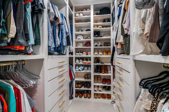 walk in closet with light carpet