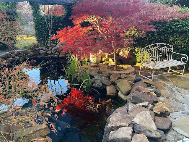 view of yard with a garden pond