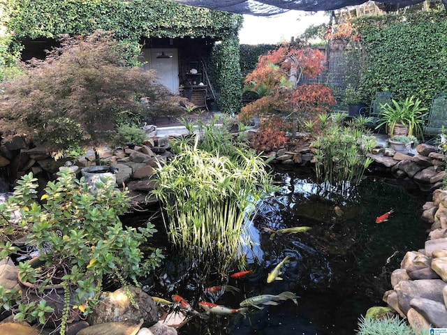 view of yard with a garden pond