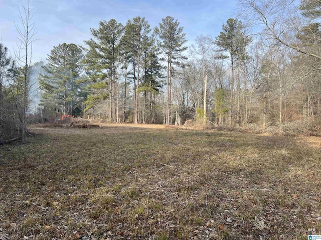 0 Camp Creek Rd Unit 1, Cropwell AL, 35054 land for sale