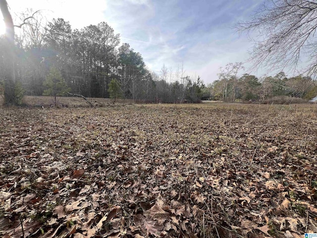 Listing photo 3 for 0 Camp Creek Rd Unit 1, Cropwell AL 35054