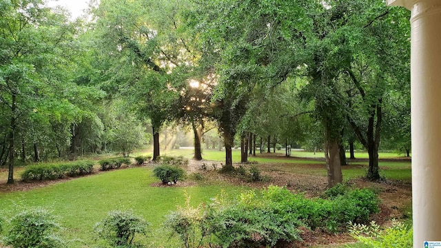 surrounding community featuring a lawn