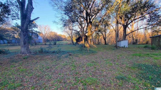 view of yard with a storage shed