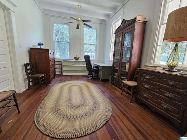 office with ceiling fan, dark hardwood / wood-style floors, and beam ceiling