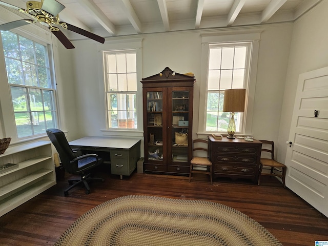 office area with beamed ceiling, ceiling fan, a healthy amount of sunlight, and dark hardwood / wood-style flooring