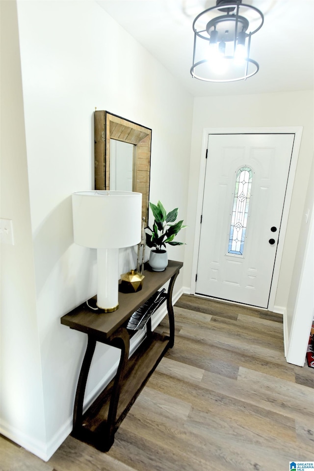 entryway featuring wood-type flooring