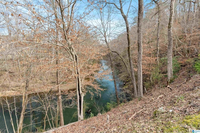 view of nature with a water view