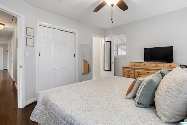 bedroom with dark wood-type flooring, ceiling fan, and a closet