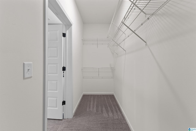 spacious closet with light colored carpet