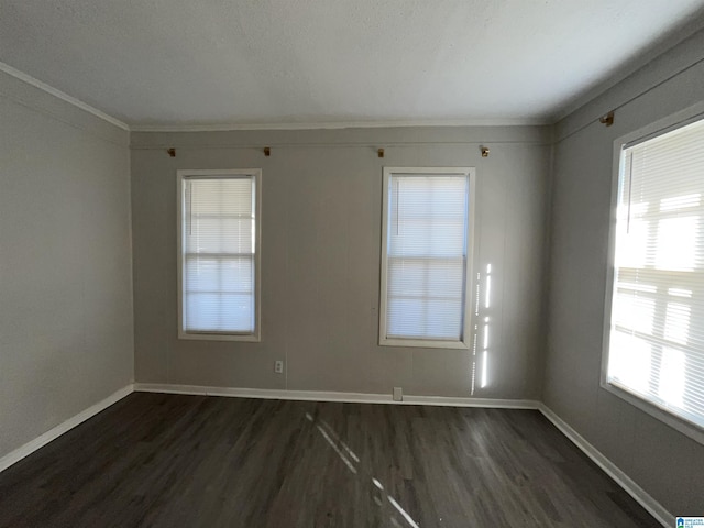 empty room featuring crown molding and dark hardwood / wood-style floors