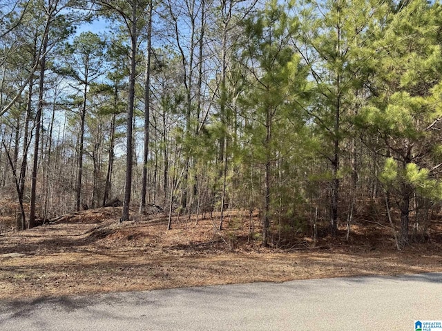 Wright Way Dr Unit 10, Wedowee AL, 36278 land for sale