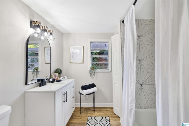 bathroom featuring vanity, wood-type flooring, and toilet