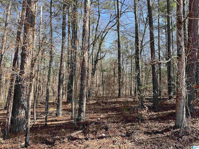 Listing photo 3 for LOT215 Meadow Brook Ln Unit 215, Talladega AL 35160