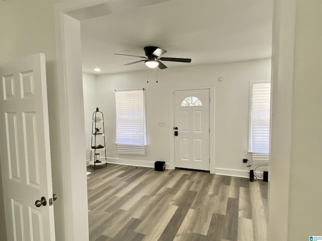 entrance foyer featuring hardwood / wood-style flooring and ceiling fan