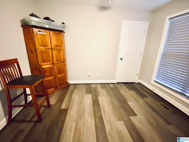 interior space with wood-type flooring