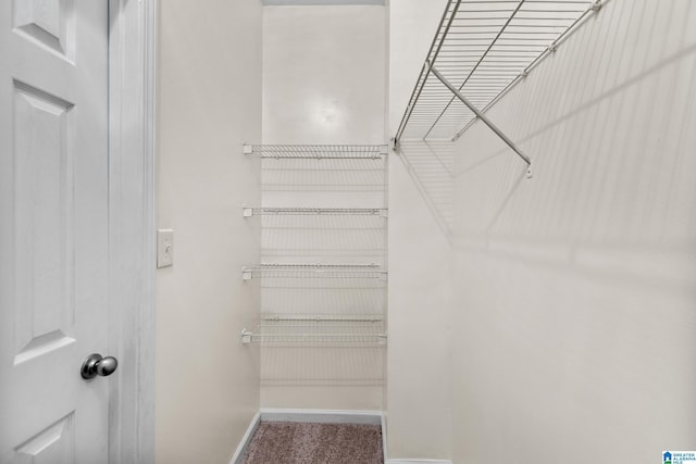 spacious closet featuring carpet floors