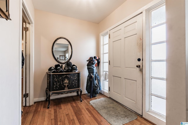 foyer entrance with hardwood / wood-style floors and a wealth of natural light