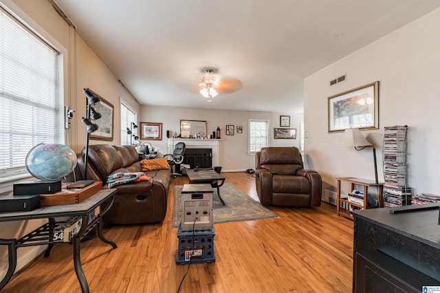 living room with light wood-type flooring