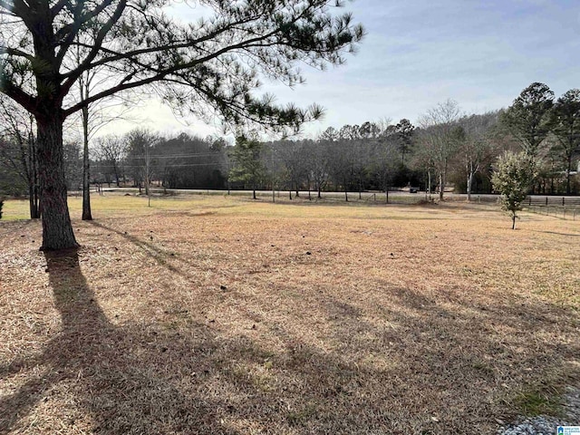 view of yard featuring a rural view