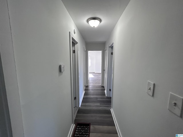 hall featuring dark hardwood / wood-style floors