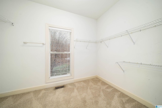 walk in closet with carpet