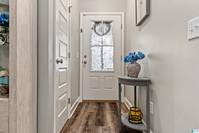 entryway featuring dark hardwood / wood-style flooring