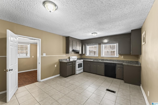 kitchen with white electric stove, dishwasher, plenty of natural light, and sink