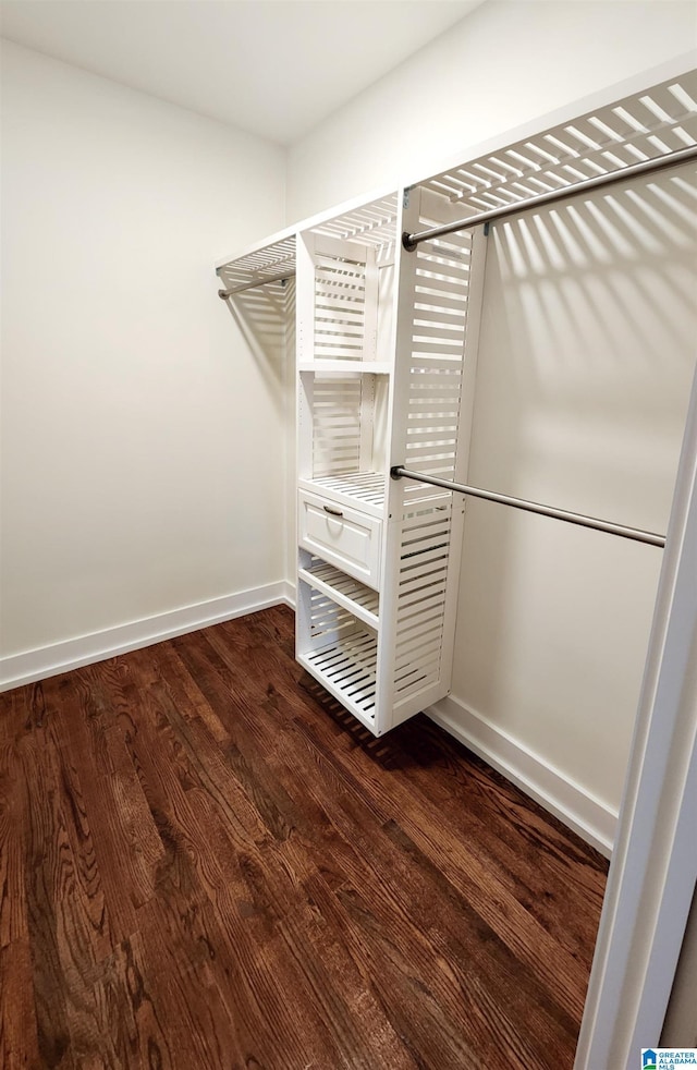 spacious closet with dark hardwood / wood-style flooring