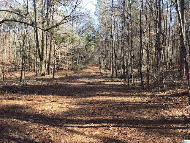 Listing photo 3 for 0000 County Road 57 Unit 0, Lineville AL 36266