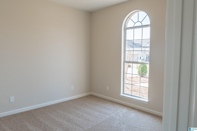 empty room featuring carpet