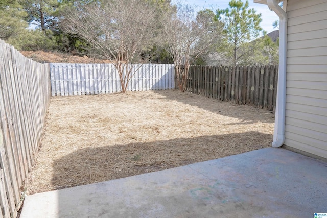 view of yard featuring a patio