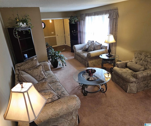 living room with carpet flooring