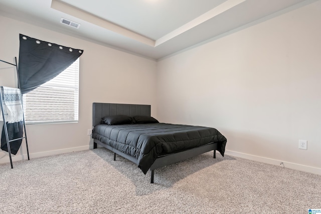 carpeted bedroom featuring a tray ceiling