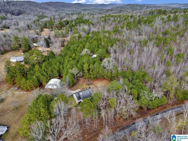 bird's eye view featuring a mountain view