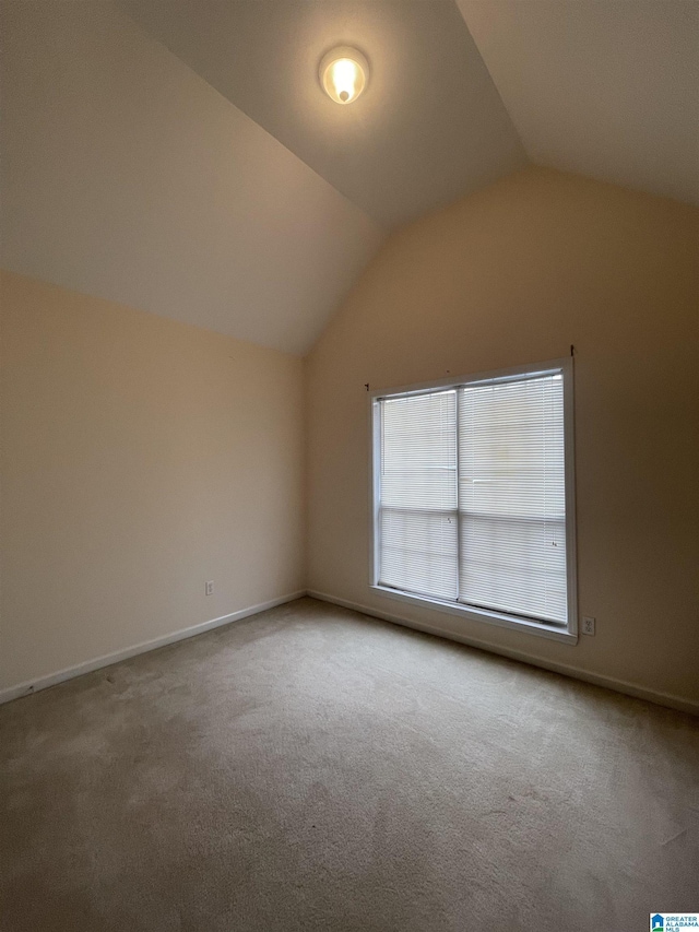 bonus room featuring vaulted ceiling and carpet floors