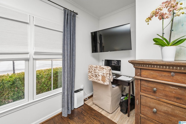 office area with ornamental molding and wood-type flooring