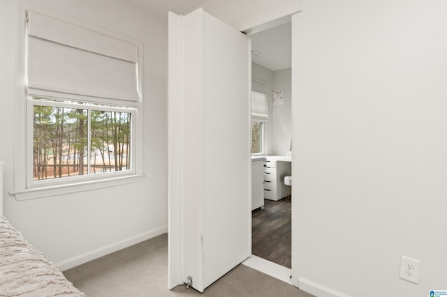 bedroom featuring carpet