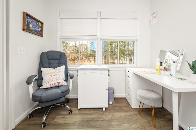 home office featuring wood-type flooring