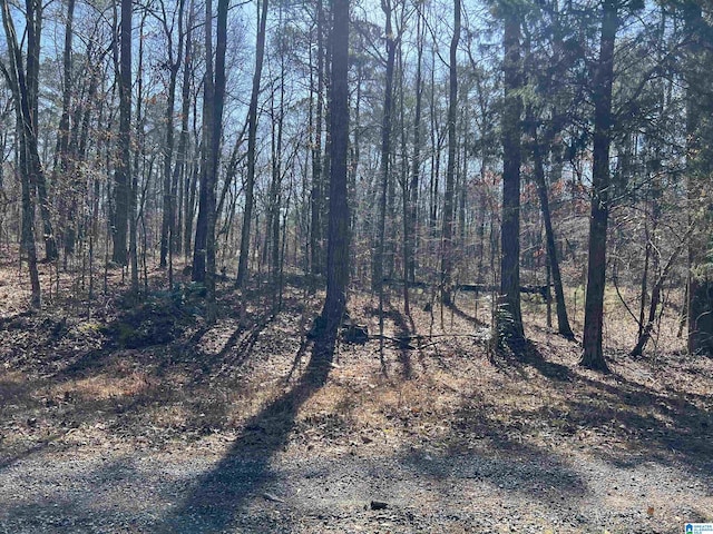 Listing photo 2 for LOT214 Meadow Brook Ln Unit 214, Talladega AL 35160