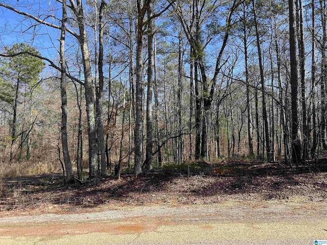 Listing photo 3 for LOT214 Meadow Brook Ln Unit 214, Talladega AL 35160