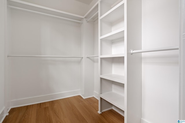 walk in closet with wood-type flooring