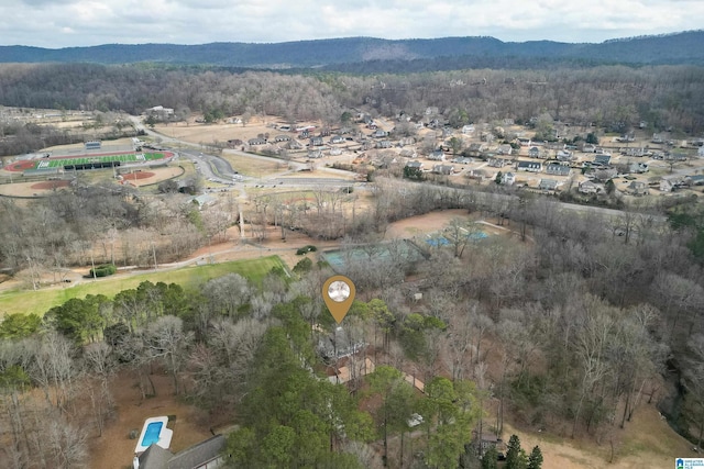 aerial view with a mountain view