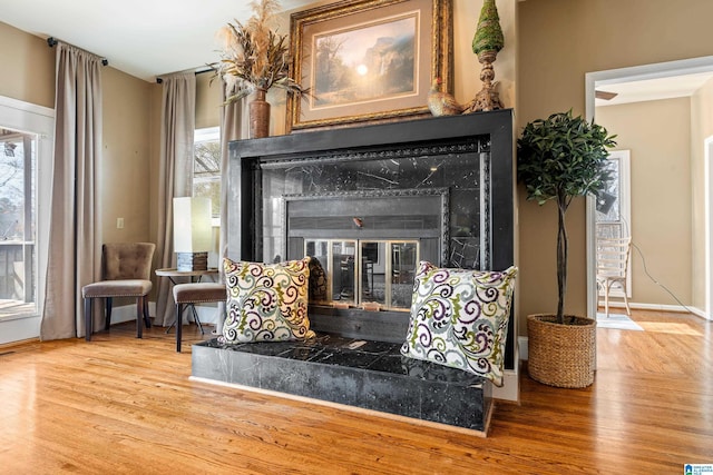 interior details with hardwood / wood-style flooring and a fireplace