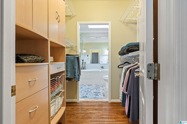 spacious closet featuring dark hardwood / wood-style flooring