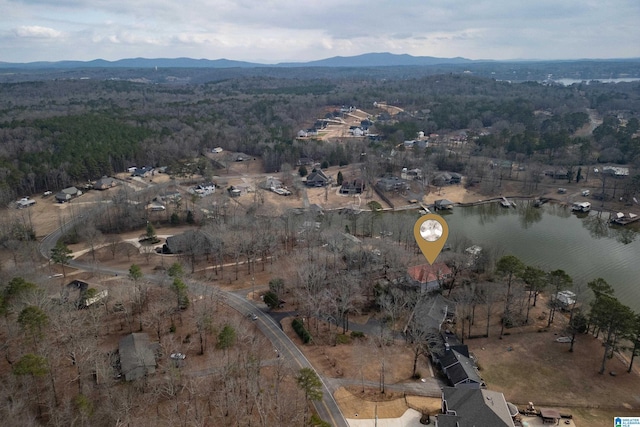 birds eye view of property featuring a water and mountain view