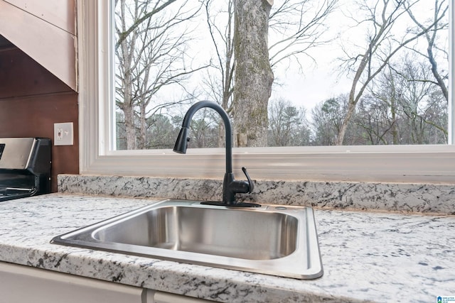 details with light stone countertops and sink