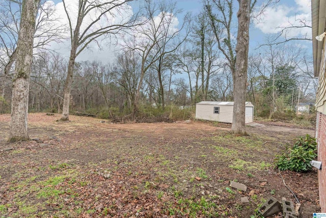 view of yard with a storage shed