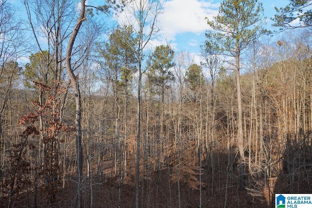 view of local wilderness