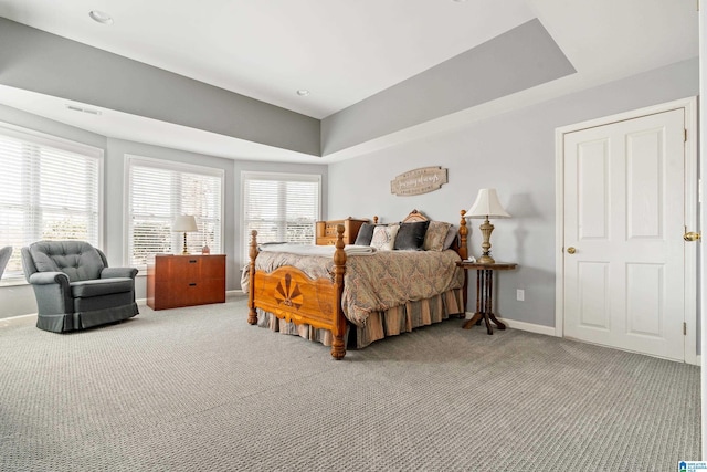 carpeted bedroom featuring a raised ceiling